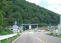�n�뗿����